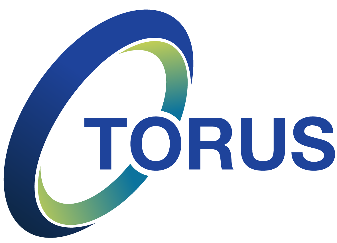 Torus